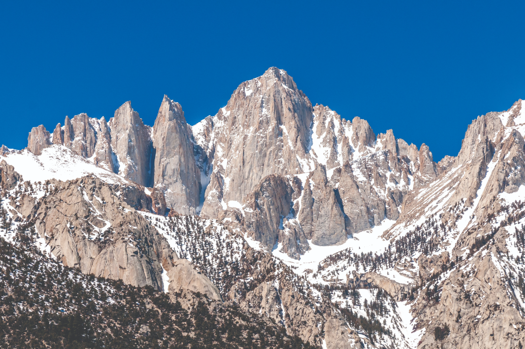 Mt. Whitney detail with ecology callouts